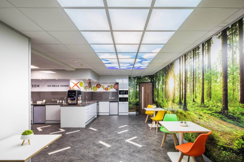 THE CANTEEN breakroom with forest picture wall 1